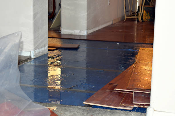 Professional Burst Pipe Cleanup technician working in West Bridgewater, MA