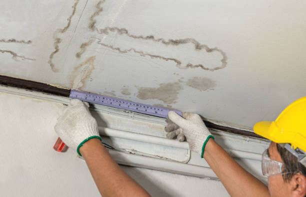Reliable Burst Pipe Cleanup contractor in West Bridgewater, MA by Local Water Damage Repair